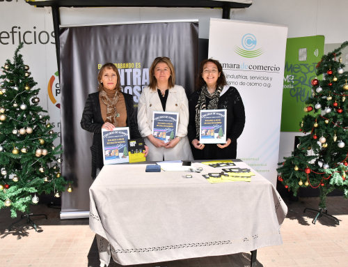 Cámara de Comercio Osorno lanzó concurso “La mejor vitrina navideña”