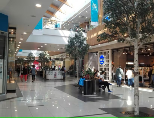 Cámara de Comercio de Osorno advierte sobre el impacto del feriado irrenunciable en Viernes Santo