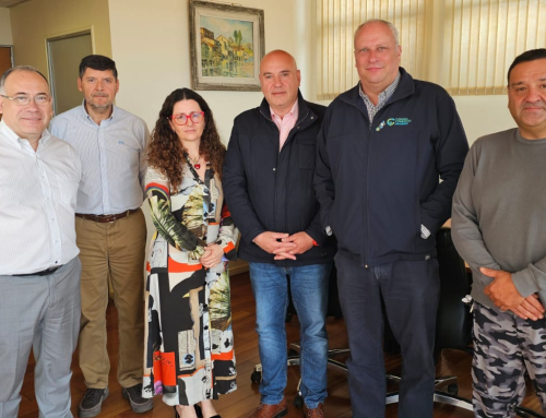 Cámara de Comercio coordina bulevar navideño  para fortalecer el comercio del centro de Osorno